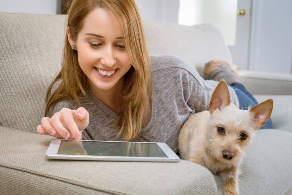 Devenir pet sitter : le guide indispensable pour réussir