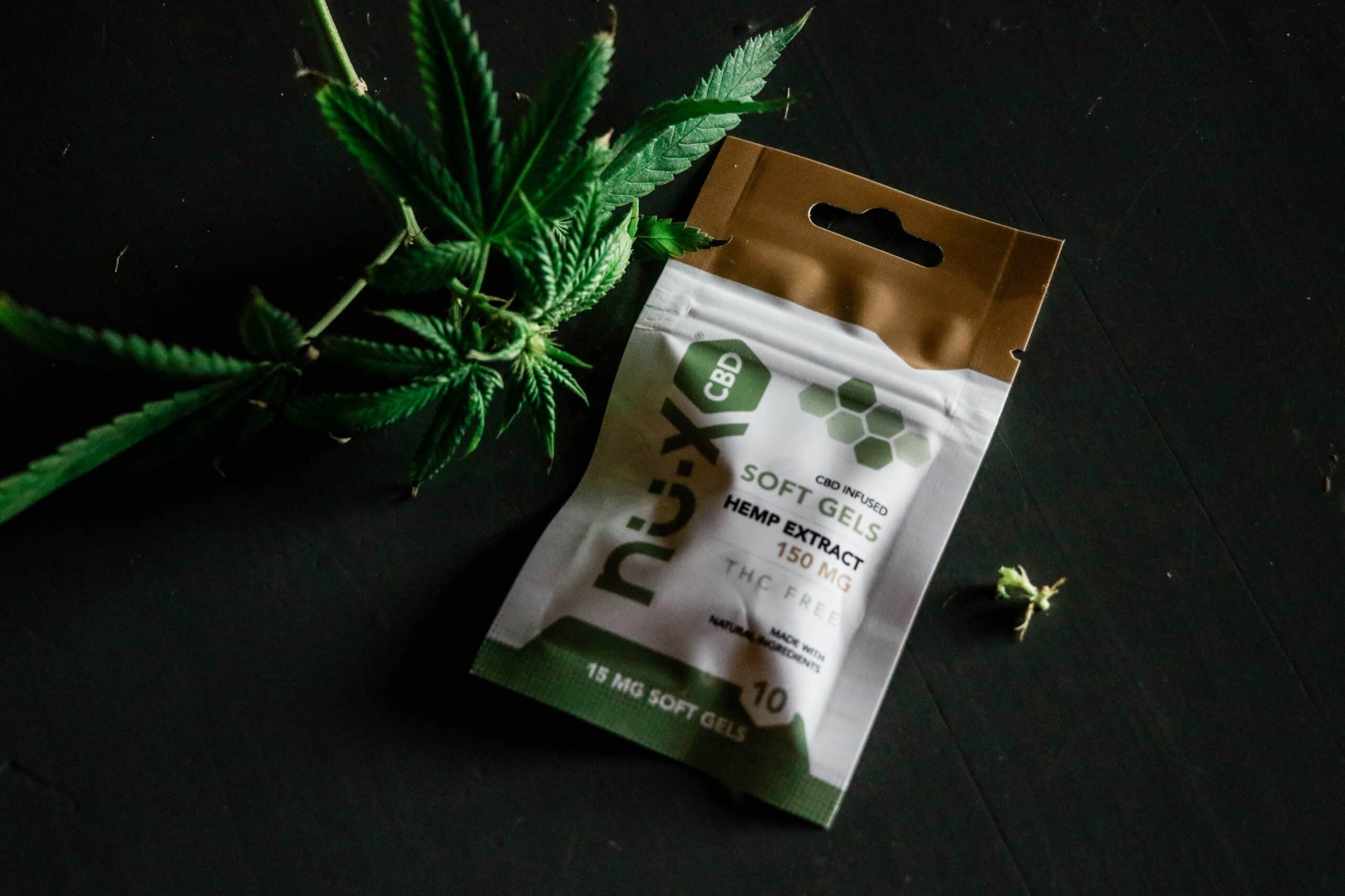 Gélules de CBD sans THC à base d’extrait de chanvre posées à côté de feuilles de cannabis sur une table